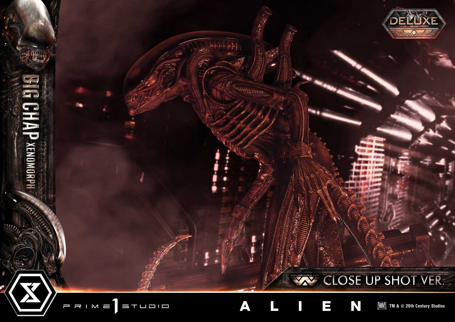 Thumbnail 54