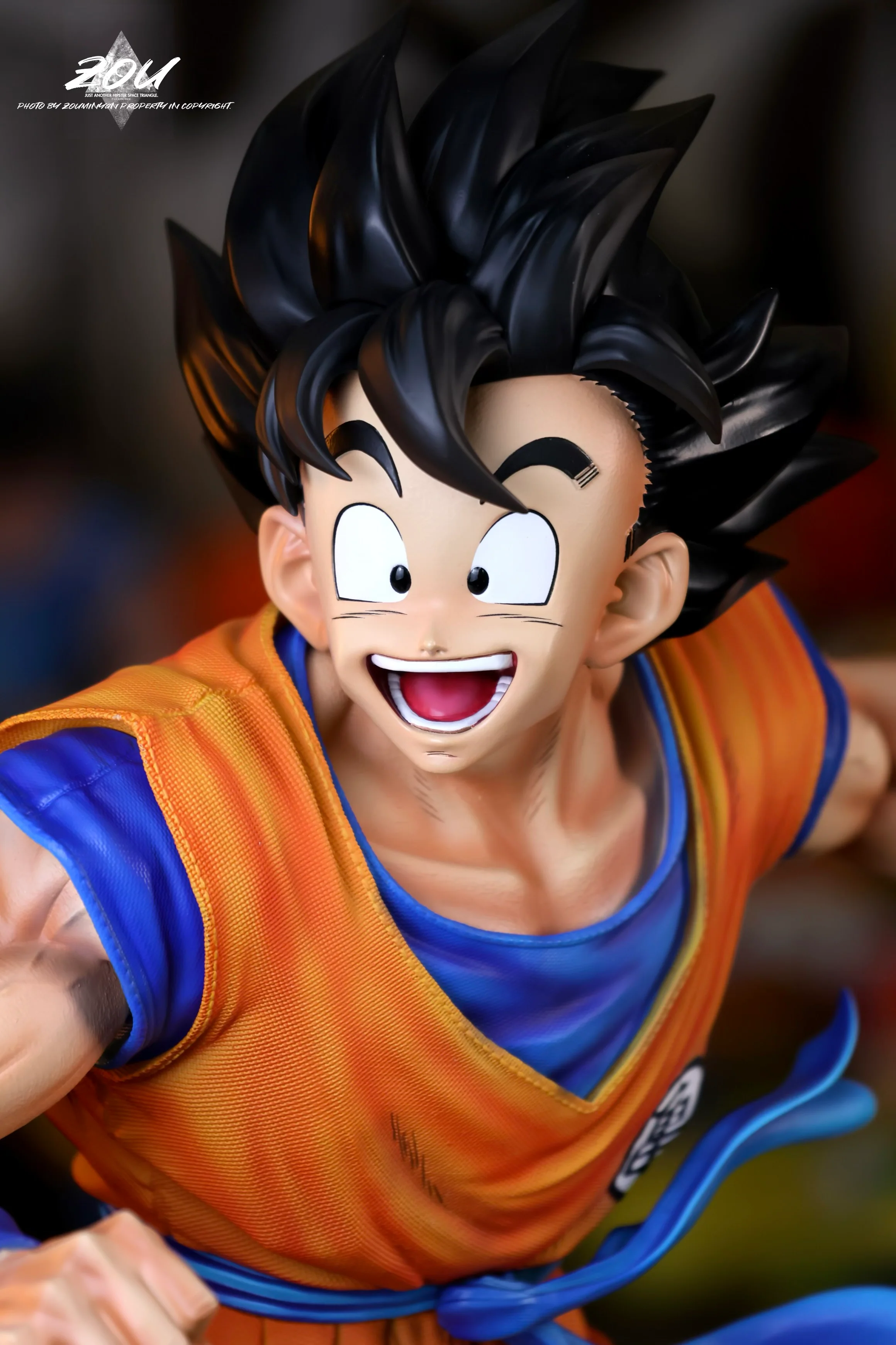 Thumbnail 14