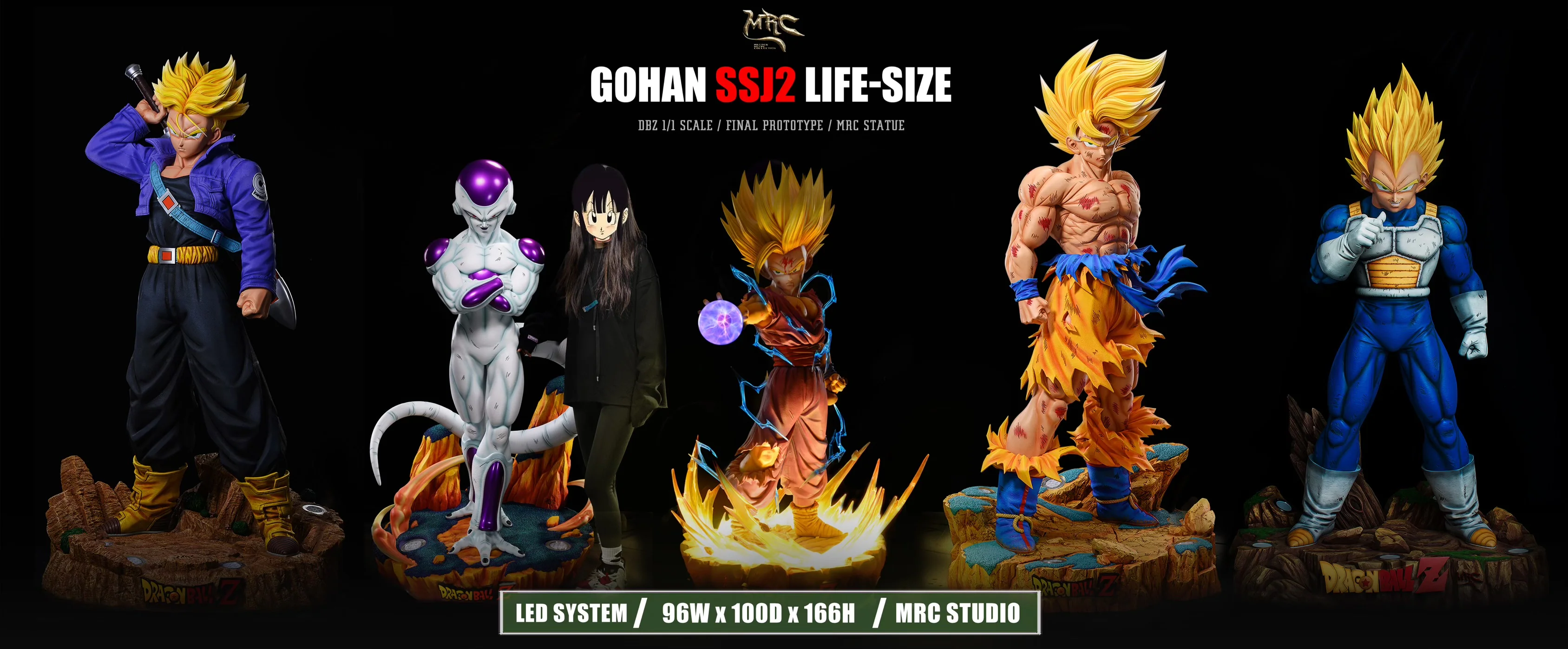 Thumbnail 12