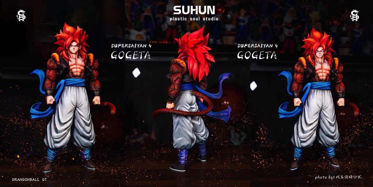 Thumbnail 13