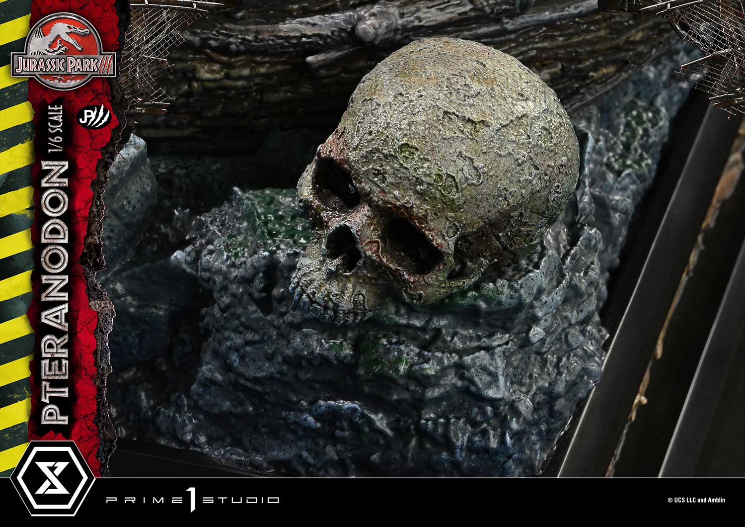 Thumbnail 13